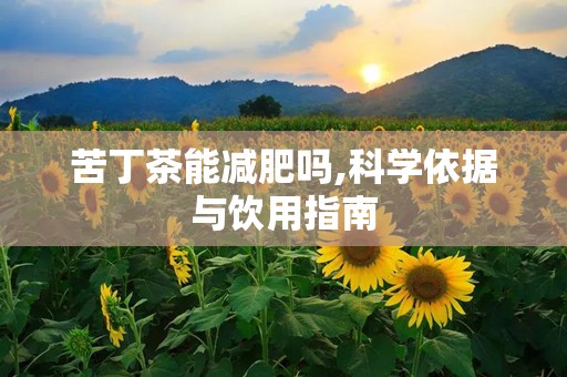 苦丁茶能减肥吗,科学依据与饮用指南