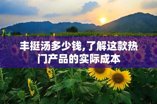 丰挺汤多少钱,了解这款热门产品的实际成本