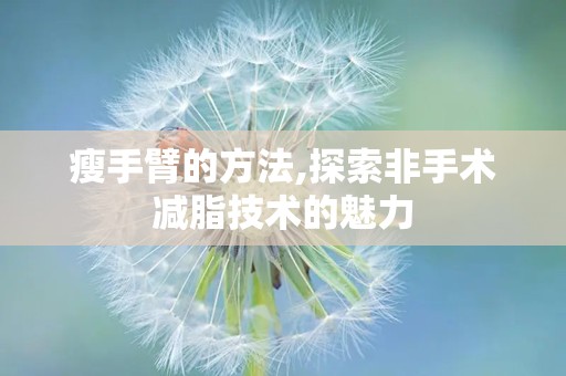 瘦手臂的方法,探索非手术减脂技术的魅力