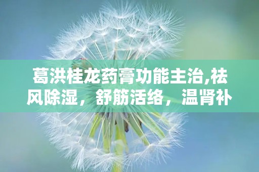 葛洪桂龙药膏功能主治,祛风除湿，舒筋活络，温肾补血，多重功效助健康