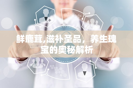 鲜鹿茸,滋补圣品，养生瑰宝的奥秘解析