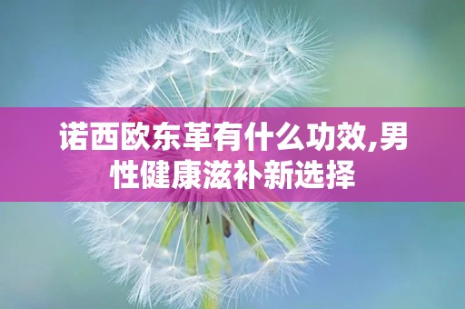 诺西欧东革有什么功效,男性健康滋补新选择
