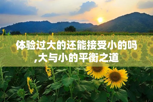 体验过大的还能接受小的吗,大与小的平衡之道