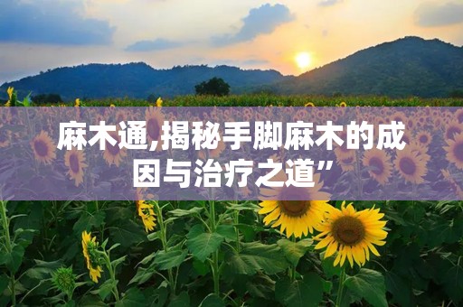 麻木通,揭秘手脚麻木的成因与治疗之道”