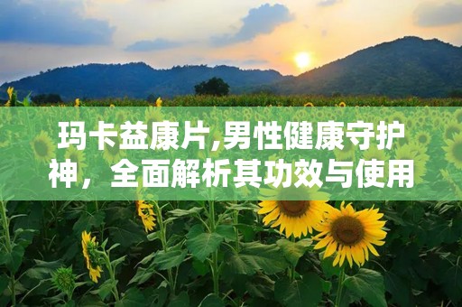 玛卡益康片,男性健康守护神，全面解析其功效与使用指南”