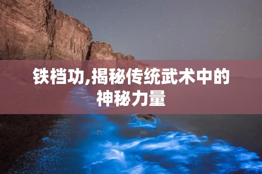 铁档功,揭秘传统武术中的神秘力量