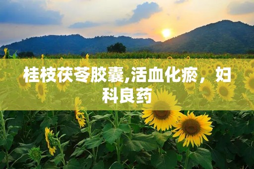 桂枝茯苓胶囊,活血化瘀，妇科良药