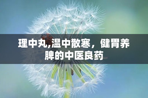 理中丸,温中散寒，健胃养脾的中医良药