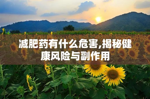 减肥药有什么危害,揭秘健康风险与副作用