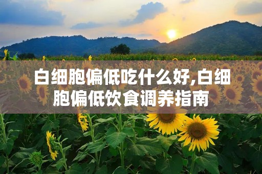 白细胞偏低吃什么好,白细胞偏低饮食调养指南