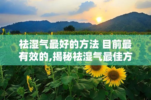 祛湿气最好的方法 目前最有效的,揭秘祛湿气最佳方案，告别湿重困扰