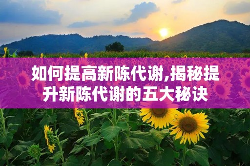 如何提高新陈代谢,揭秘提升新陈代谢的五大秘诀