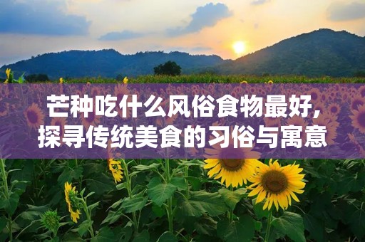 芒种吃什么风俗食物最好,探寻传统美食的习俗与寓意