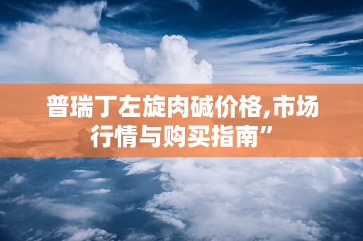 普瑞丁左旋肉碱价格,市场行情与购买指南”