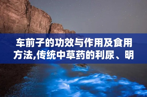 车前子的功效与作用及食用方法,传统中草药的利尿、明目与养生之道