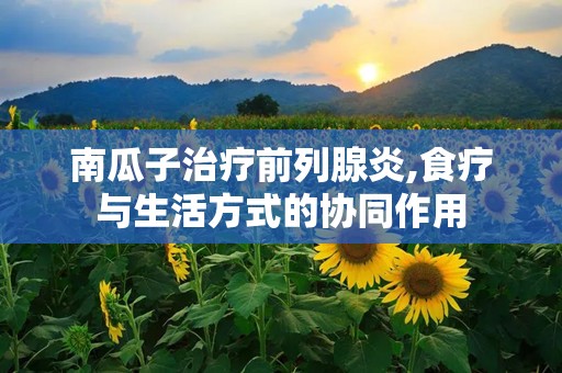 南瓜子治疗前列腺炎,食疗与生活方式的协同作用