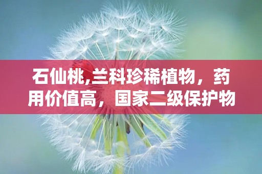 石仙桃,兰科珍稀植物，药用价值高，国家二级保护物种