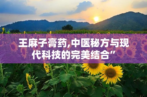 王麻子膏药,中医秘方与现代科技的完美结合”