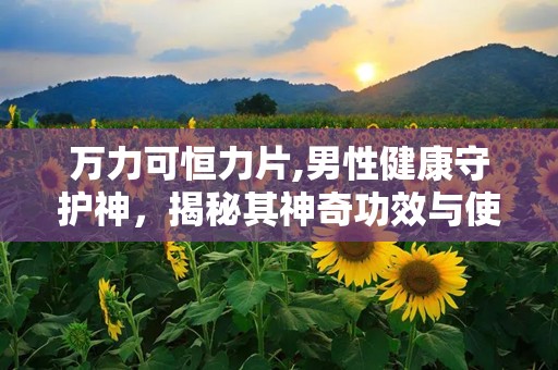 万力可恒力片,男性健康守护神，揭秘其神奇功效与使用指南”