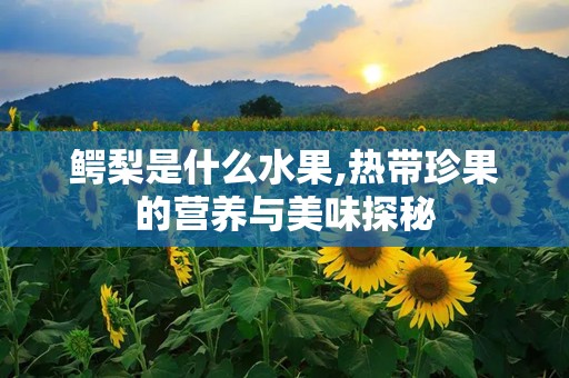 鳄梨是什么水果,热带珍果的营养与美味探秘