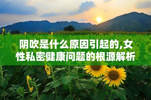 阴吹是什么原因引起的,女性私密健康问题的根源解析