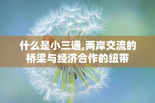 什么是小三通,两岸交流的桥梁与经济合作的纽带