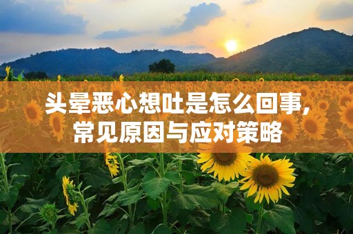头晕恶心想吐是怎么回事,常见原因与应对策略