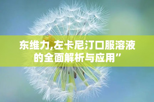 东维力,左卡尼汀口服溶液的全面解析与应用”