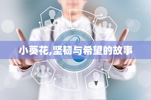 小葵花,坚韧与希望的故事
