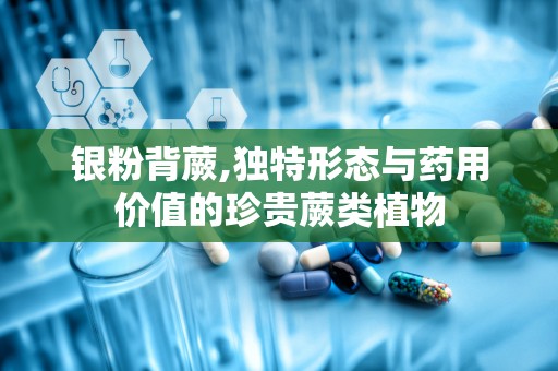 银粉背蕨,独特形态与药用价值的珍贵蕨类植物