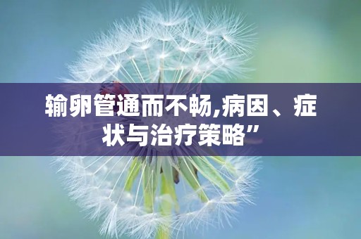 输卵管通而不畅,病因、症状与治疗策略”