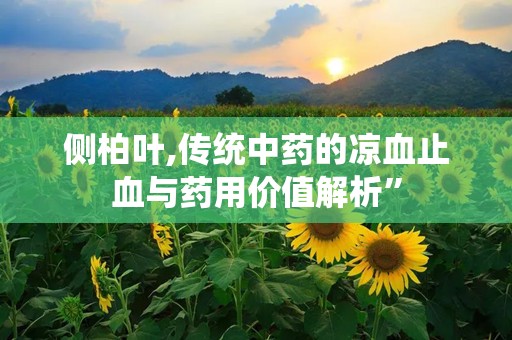 侧柏叶,传统中药的凉血止血与药用价值解析”