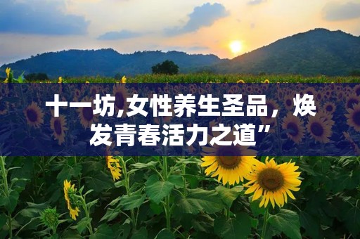 十一坊,女性养生圣品，焕发青春活力之道”