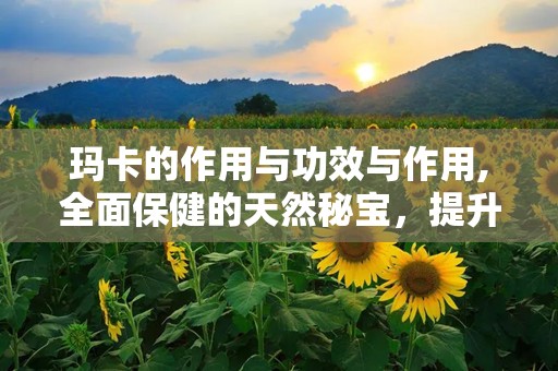 玛卡的作用与功效与作用,全面保健的天然秘宝，提升精力与活力的天然良药