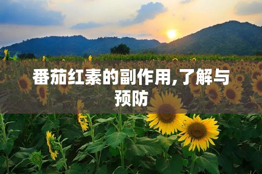 番茄红素的副作用,了解与预防