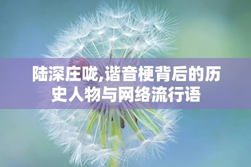 陆深庄咙,谐音梗背后的历史人物与网络流行语