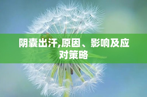 阴囊出汗,原因、影响及应对策略