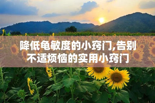 降低龟敏度的小窍门,告别不适烦恼的实用小窍门