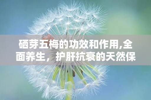 硒芽五梅的功效和作用,全面养生，护肝抗衰的天然保健品