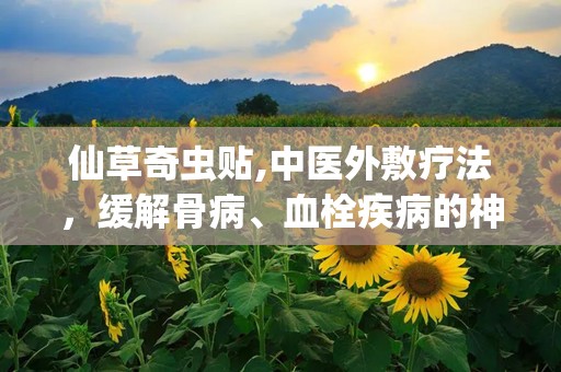 仙草奇虫贴,中医外敷疗法，缓解骨病、血栓疾病的神奇之贴