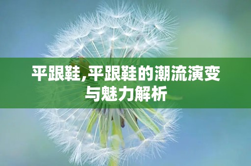 平跟鞋,平跟鞋的潮流演变与魅力解析