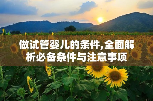 做试管婴儿的条件,全面解析必备条件与注意事项