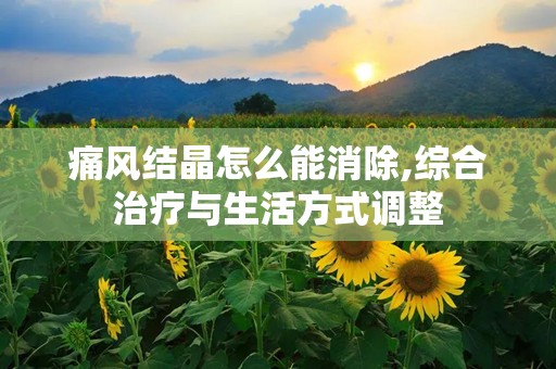 痛风结晶怎么能消除,综合治疗与生活方式调整