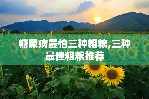 糖尿病最怕三种粗粮,三种最佳粗粮推荐
