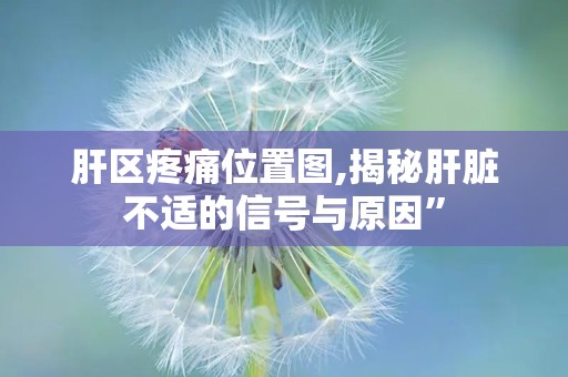 肝区疼痛位置图,揭秘肝脏不适的信号与原因”