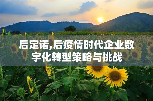 后定诺,后疫情时代企业数字化转型策略与挑战