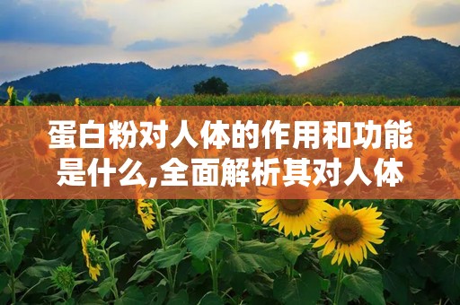 蛋白粉对人体的作用和功能是什么,全面解析其对人体健康的多重益处