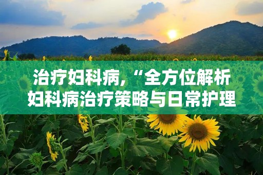 治疗妇科病,“全方位解析妇科病治疗策略与日常护理要点”