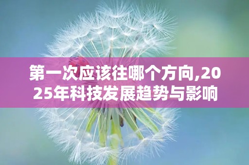 第一次应该往哪个方向,2025年科技发展趋势与影响