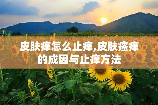 皮肤痒怎么止痒,皮肤瘙痒的成因与止痒方法